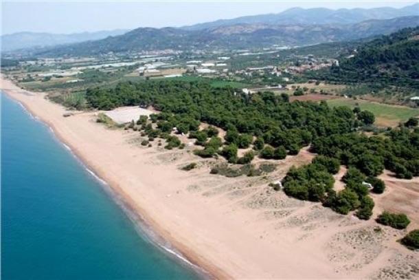 Diamond Giannopoulos Elea Apartments Kyparissia Pokój zdjęcie