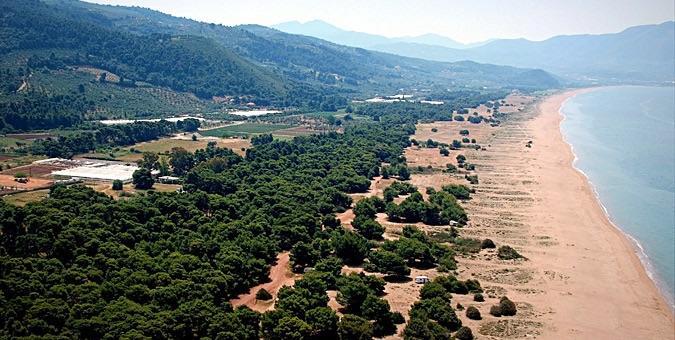 Diamond Giannopoulos Elea Apartments Kyparissia Pokój zdjęcie